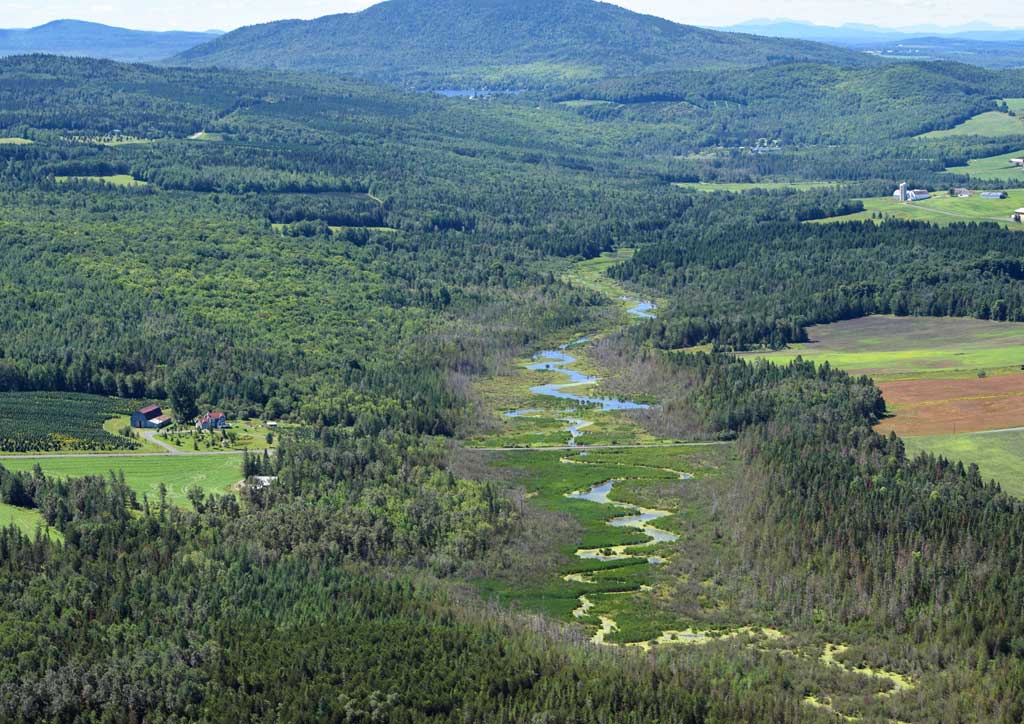 Wetland in the Regional Municipal County of Memphrémagog, Québec